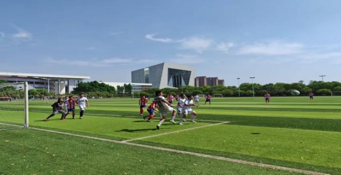 雨燕360体育APP下载