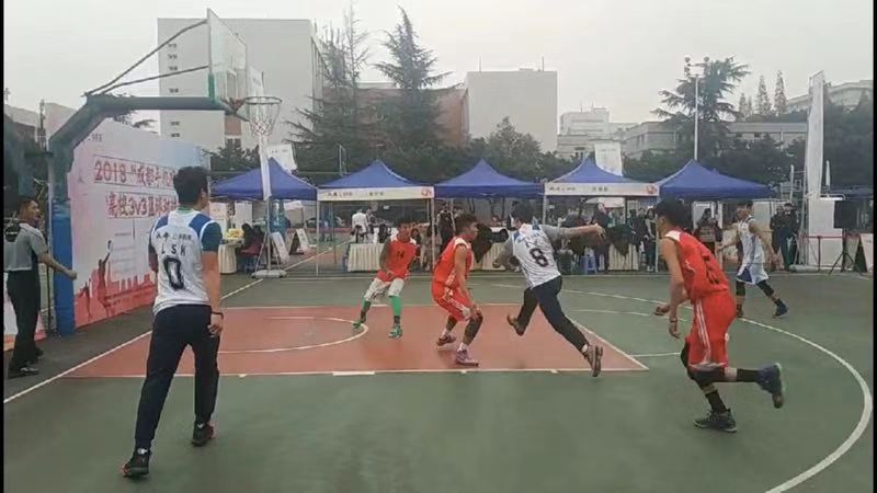 雨燕360体育APP下载